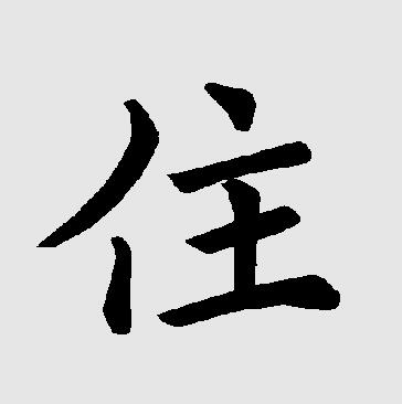 住组词两个字，住字可以组什么词