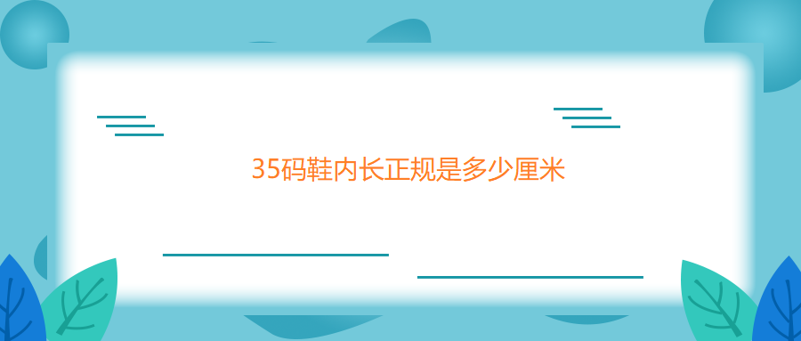 35码鞋内长正规是多少厘米